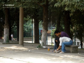 P7090409