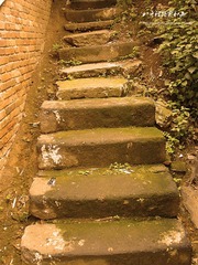 村里的小路