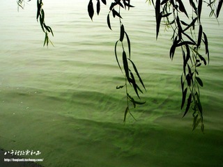 P7160691副本.jpg