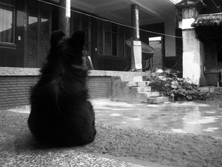 PA031565副本.jpg