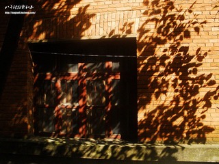 PA231675副本.jpg