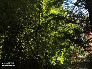 PA231669副本.jpg