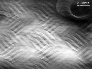 PA301668副本.jpg
