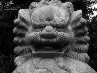 照片 121副本.jpg