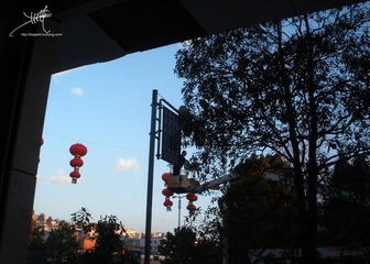 P1181882副本.jpg