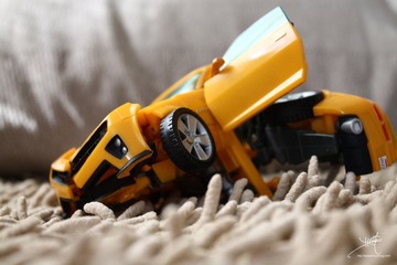 IMG_0039副本.jpg