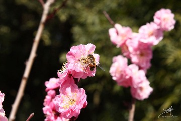 IMG_0123副本.jpg