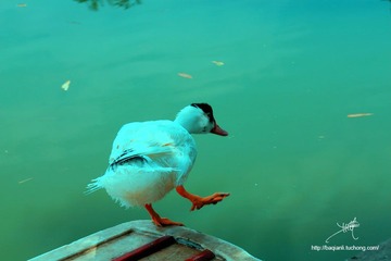 IMG_4518副本.jpg