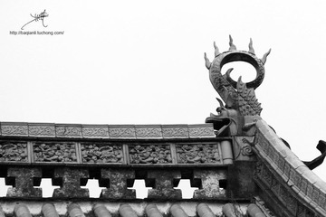 IMG_5181副本.jpg