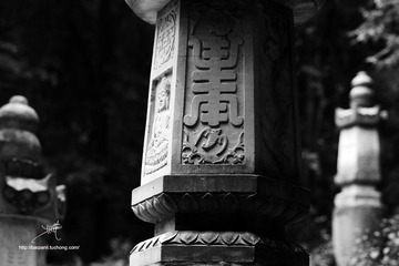 IMG_5210副本.jpg