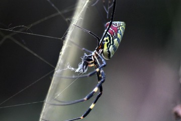 IMG_7568副本.jpg