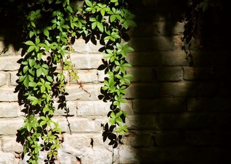 IMG_7978副本.jpg