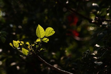 IMG_2042副本.jpg