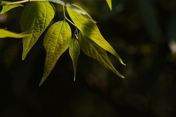 IMG_2061副本.jpg