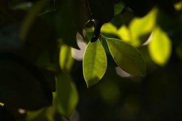 IMG_2048副本.jpg