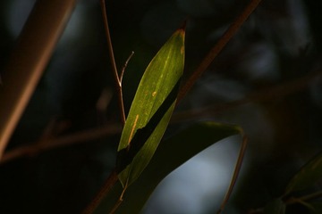 IMG_2086副本.jpg