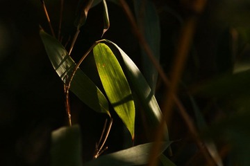IMG_2087副本.jpg