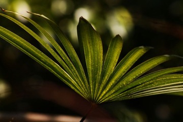 IMG_2063副本.jpg