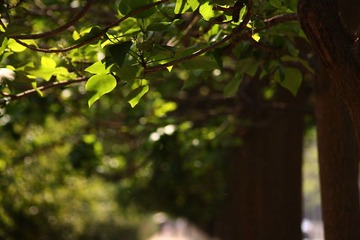 IMG_2033副本.jpg