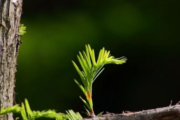 IMG_2201FB.jpg