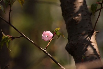 IMG_2073副本.jpg