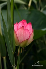 IMG_3865副本.jpg