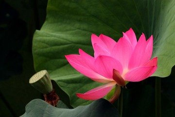 IMG_3813副本.jpg