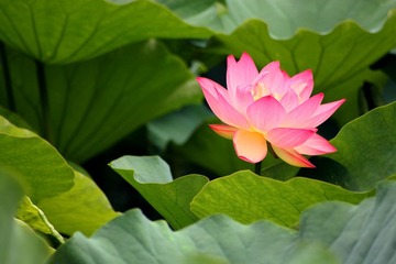 IMG_3839副本.jpg