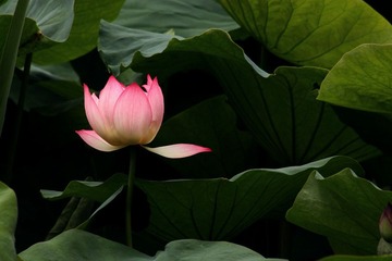 IMG_3880副本.jpg