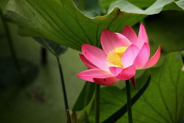 IMG_3850副本.jpg