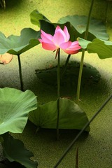 IMG_3836副本.jpg