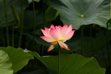 IMG_3843副本.jpg