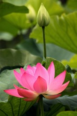 IMG_3902副本.jpg