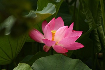 IMG_3812副本.jpg