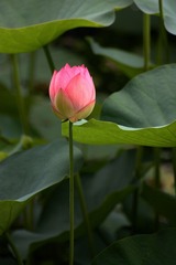 IMG_3821副本.jpg
