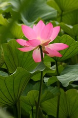IMG_3827副本.jpg