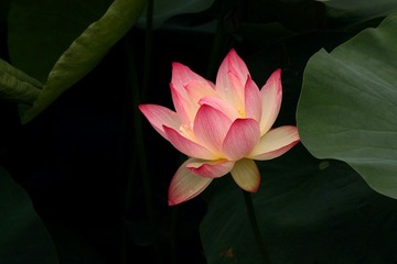 IMG_3873副本.jpg
