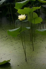 IMG_3896副本.jpg