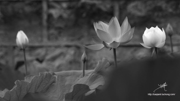 IMG_3901副本FB.jpg