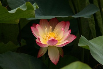 IMG_3872副本.jpg
