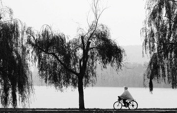 雨中行