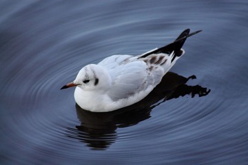 IMG_7844fb
