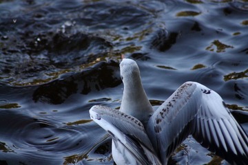 IMG_7726fb