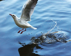 IMG_7699fb