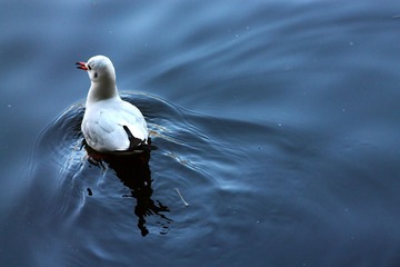 IMG_7667fbx