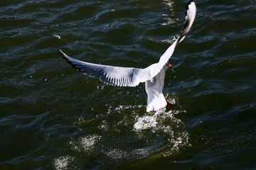 IMG_8144fbx