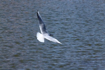 IMG_8024fbx