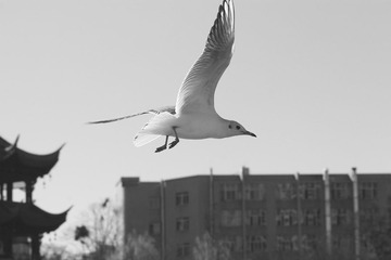 IMG_8107fbx