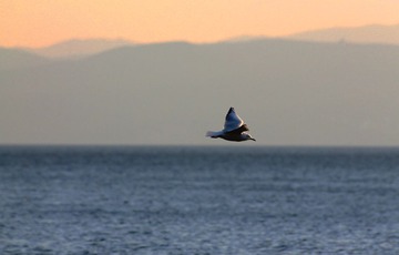 IMG_8775fbx