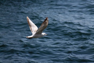 IMG_8867fbx